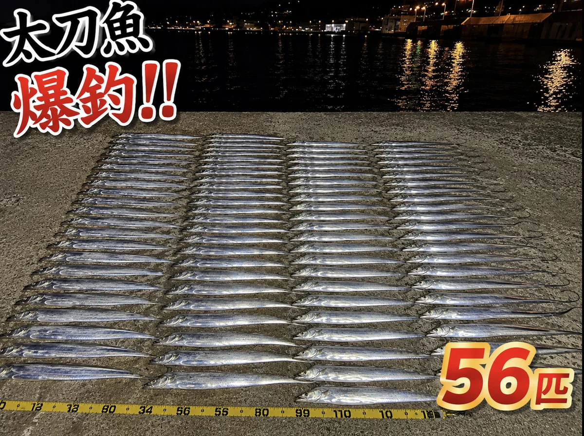 和歌山の漁港で今期初のタチウオ釣行、夕マズメから夜にかけて釣れた56匹の釣果