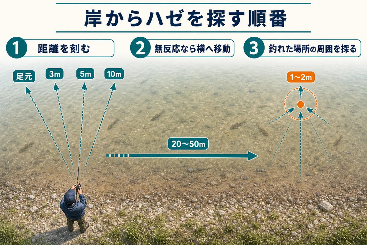 岸から足元・3m・5m・10mを探り、無反応なら横へ移動するハゼ釣りの手順