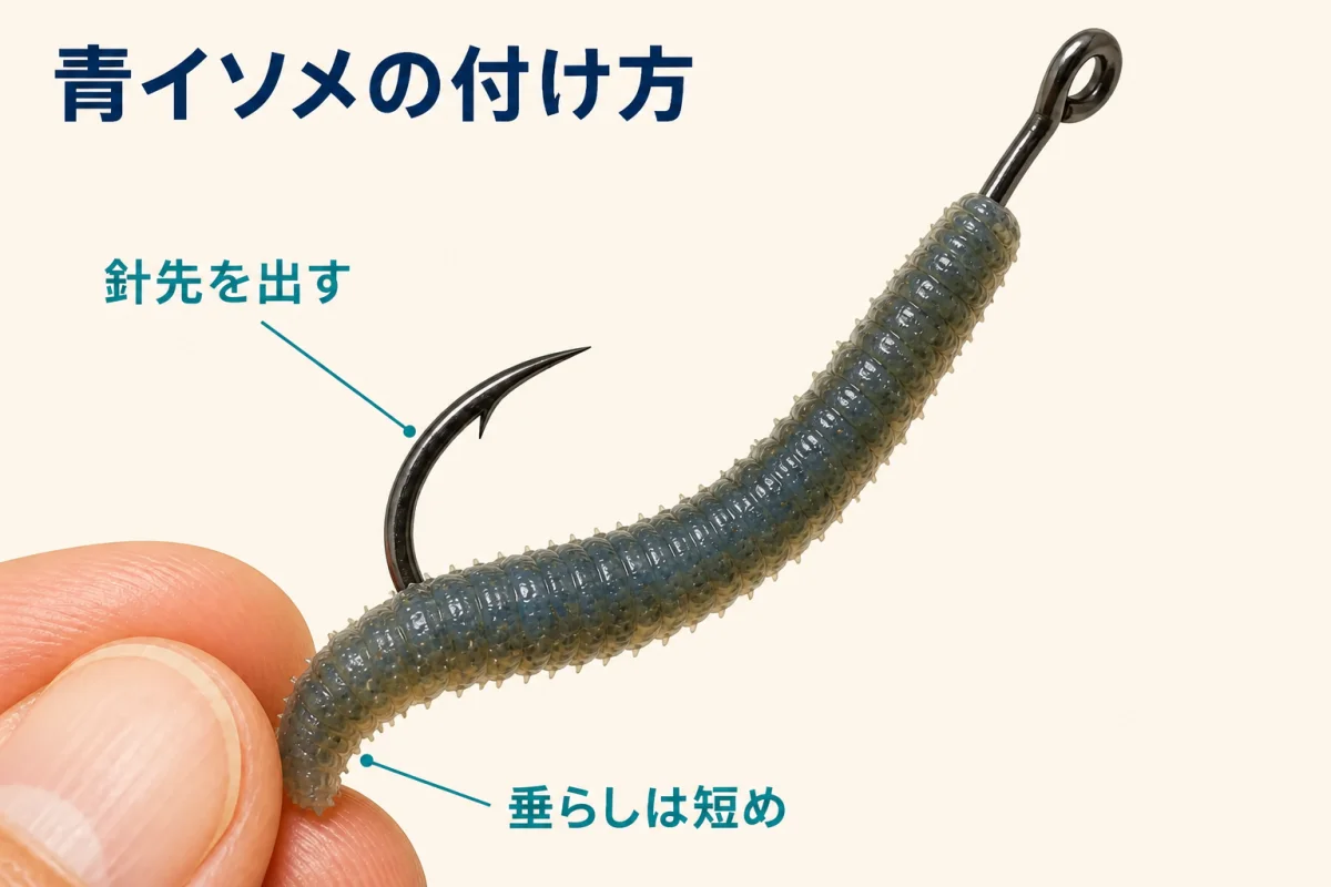 イシモチ釣りで使う青イソメの針への付け方