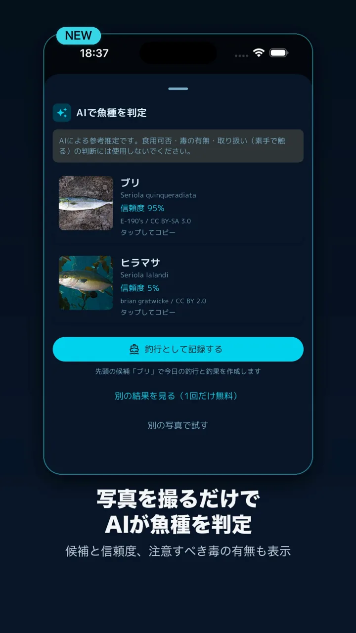 Anglaの魚種AI判定画面。写真からブリなどの候補と信頼度を表示