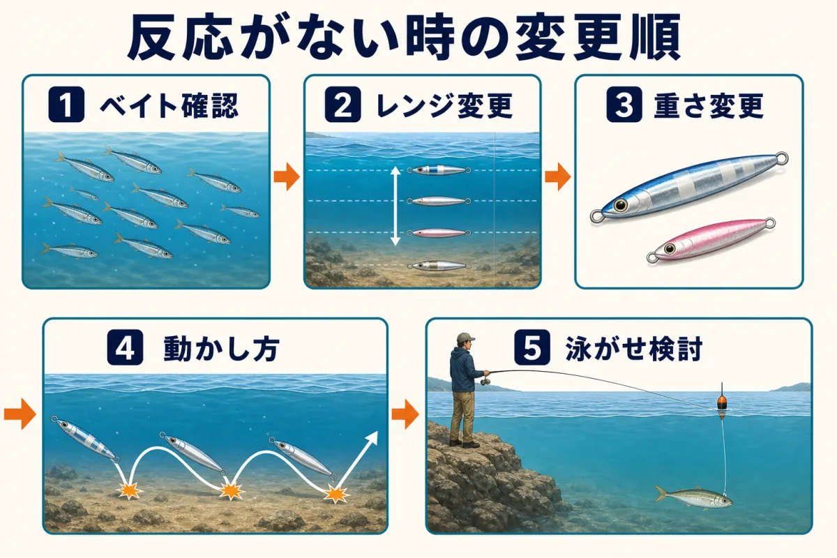 舞鶴湾でシオの反応がない時に釣り方を変える順番