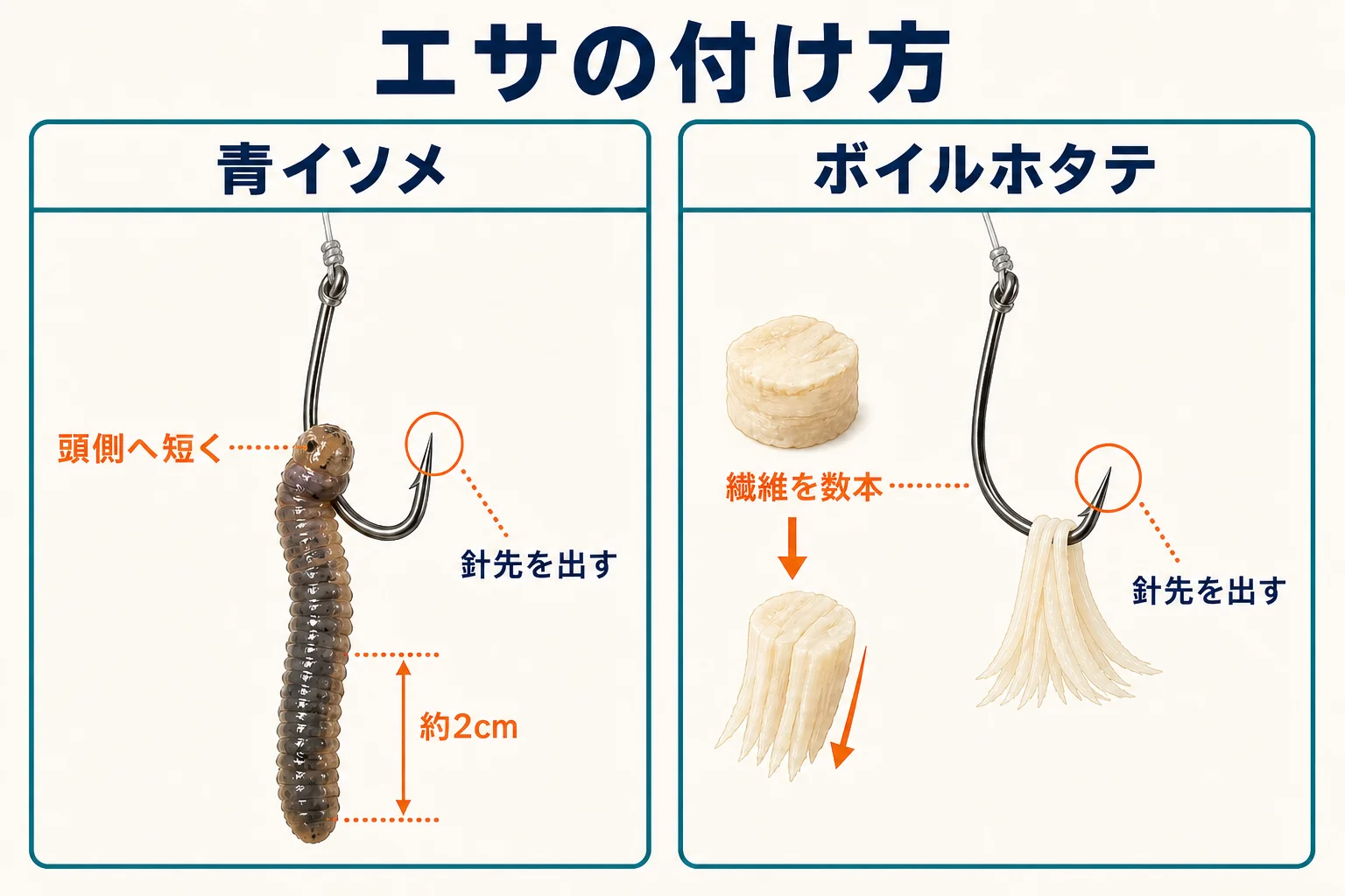 ハゼ釣りの青イソメとボイルホタテの正しい付け方比較