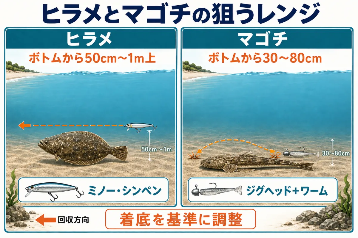 ヒラメとマゴチを狙うレンジとルアー操作の違い