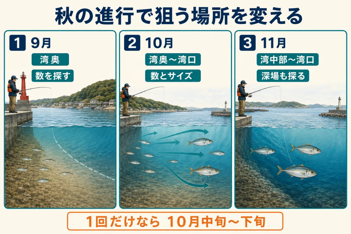 五ヶ所湾の秋アジングで9月・10月・11月に狙うエリアの模式図