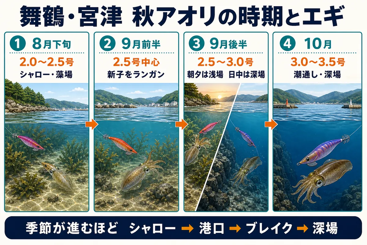 舞鶴・宮津の秋アオリイカの時期とエギ号数
