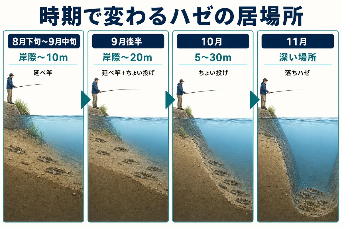 8月下旬から11月までのハゼの居場所と岸からの釣り方の変化